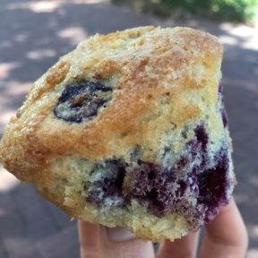 Gluten-free blueberry muffin from Lilac Patisserie